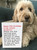 Funny Daughter 13th Birthday Card From Mum