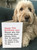 Funny Son 13th Birthday Card From Me