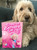 Funny Come on Barbara Let's Go Party Birthday Card