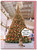 Funny Christmas Card - OMFG Best Day Ever