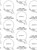 Funny Gift Wrap - Arthritis Wrapping Paper By David Shrigley