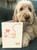 Funny Christmas Card TikTok Sensation By Brainbox Candy