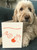 Funny Christmas Card Shake Your Baubles By Brainbox Candy