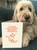 Funny Christmas Card Robin Icon By Brainbox Candy