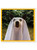 Funny Birthday Card - Ghost Dog By Brainbox Candy