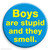 Funny Badge Boys Smell By Brainbox Candy