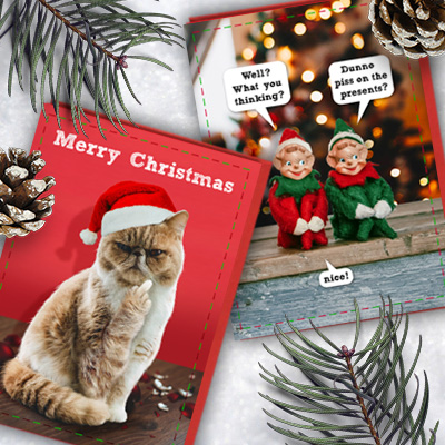 Skinny Dip Christmas Cards