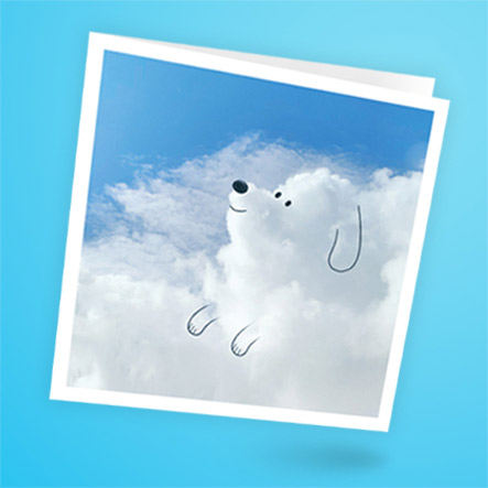 click here to shop a daily cloud