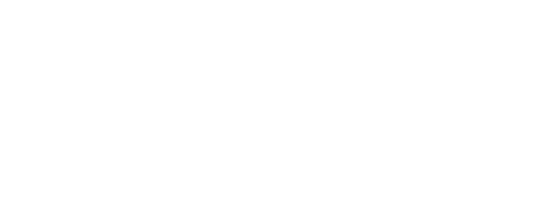 Brainbox Candy /"Slut of the Year/" badge funny hen do party cheap gift joke rude