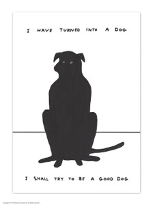 Turned Into A Dog David Shrigley Postcard