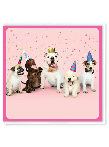 Funny Birthday Card - Dog Party By Brainbox Candy