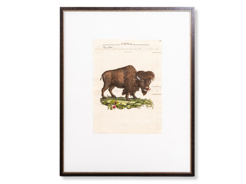 ANTIQUE MANUSCRIPT BUFFALO