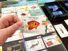 Gameplay for Finspan: Sharks and Reefs Expansion – buy now from Boardgamist.