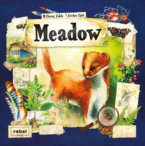 Buy Meadow and other board games from Out of Town Games