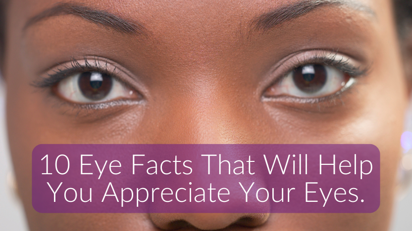 Facts That Will Make You Thankful for Your Eyes Facts That Will Make You Thankful for Your Eyes