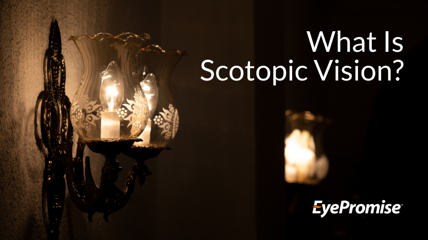 Here’s What to Know About Scotopic Vision Here’s What to Know About Scotopic Vision