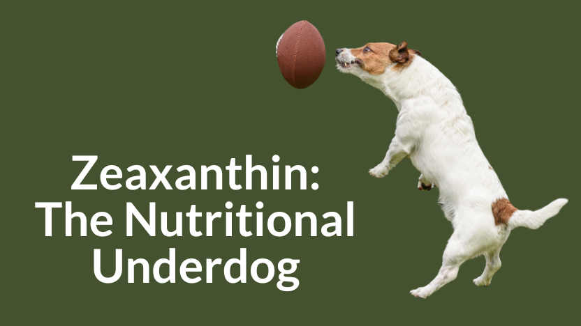 Why Zeaxanthin Is the “Underdog” Ingredient Why Zeaxanthin Is the “Underdog” Ingredient