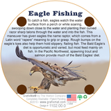 Eagle Fishing Cork Drink Coaster