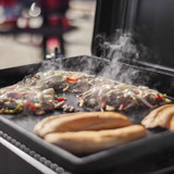 Weber Portable Griddle 2 Burner Propane