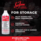 Sea Foam Gasoline/2 and 4 Cycle Engine Motor Treatment 16 oz