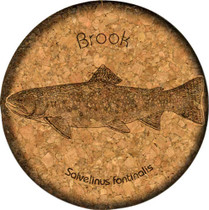 Brook Trout Cork Coaster