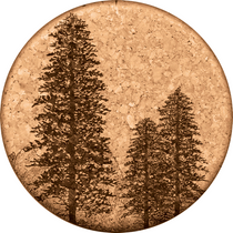 Redwood Trees Cork Drink Coaster