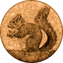 Squirrel Cork Drink Coaster