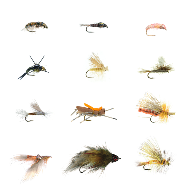 Truckee River Fly Set - Summer