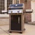 Weber Spirit E-210 Closed Cart Propane Grill - Black