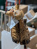 John Macho Chainsaw Carved Moose - Small