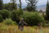 Fishpond Grass Sticks Wader Staff