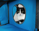 Pet Life Kitty-Play Obstacle Travel Collapsible Soft Folding Pet Cat House