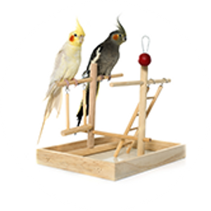 Bird cages and accessories