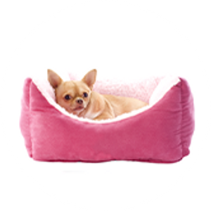 Dog beds and crates