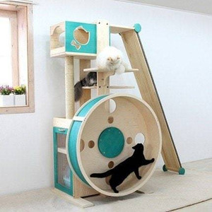 Cat house, exercise house