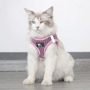 Comfortable Yet Cute Harness And Leash For Your Pet Cat In Five Different Colors