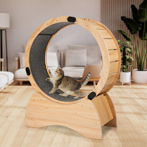 Cat Exercise Wheel – Running, Spinning, and Scratching Fun - Oak