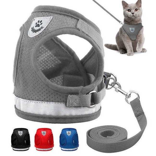 Cool Yet Breathable Harness And Leash Set For Your Pet Cat In Various Colors Cool Yet Breathable Harness And Leash Set For Your Pet Cat In Various Colors