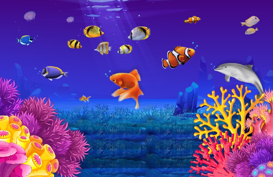 Fish & Aquarium Supplies