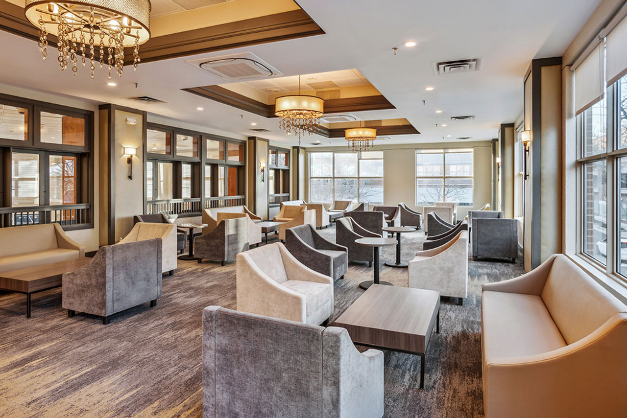 Modern Chair - Leon - Made in USA Modern Chair - Leon - Made in USA