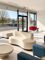 Exclusive Design - Bean Shape -  Open Sofa - Premium Upholstery  - Gold Wrapped Base
