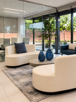 Exclusive Design - Bean Shape -  Open Sofa - Premium Upholstery  - Gold Wrapped Base