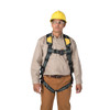 Werner Fall Protection H93400X Arc Flash bodywear harness with dielectric pass thru legs.
