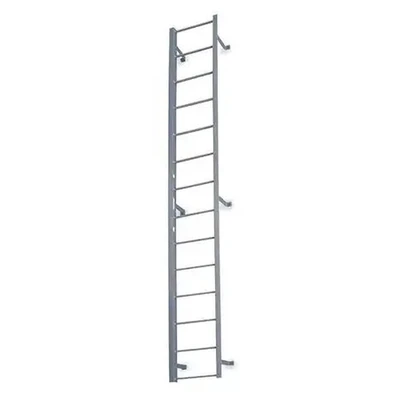 Cotterman F39S Fixed Steel Ladder, 4 sections, 38 Ft 3 In, vertical climb, no handrail.