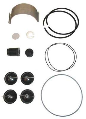 Fill-Rite Fill-Rite 5200KTF1828 / Rebuild Kit 5200 Series Pump