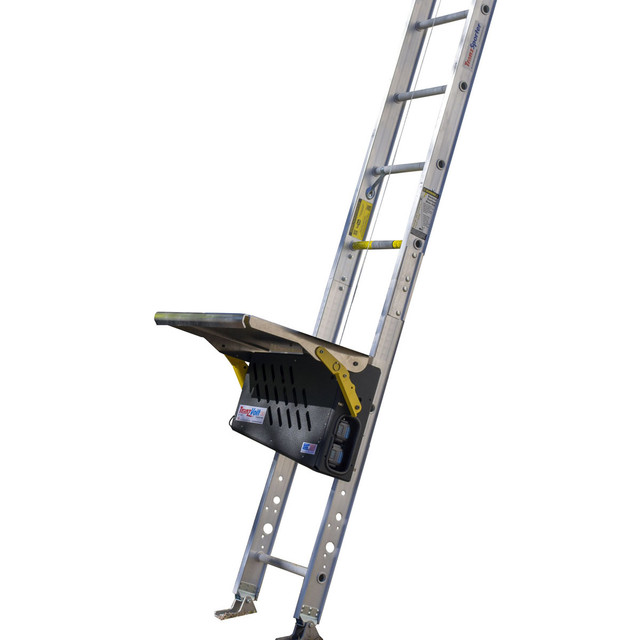 Safety Hoist Platform Hoist 28 ft. w/ Electric Motor 500 lb. Capacity