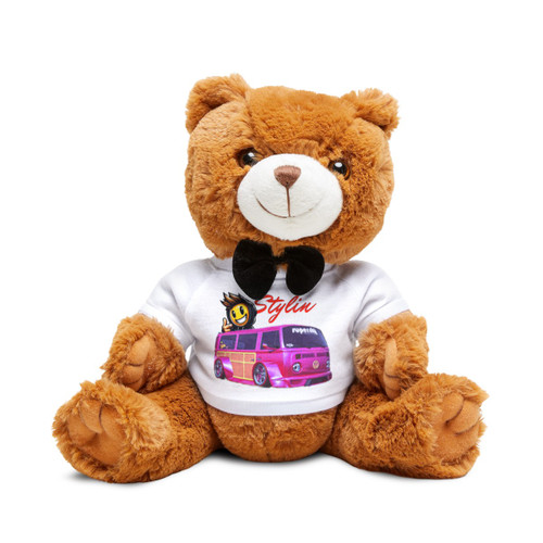 Stylin Van Teddy Bear with T-Shirt