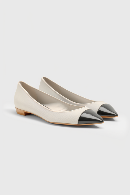 Zina Pointed Toe Flats