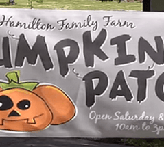 How to Choose Fonts for Banners How to Choose Fonts for Banners