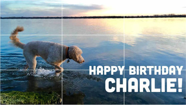 How to Design Vinyl Banners